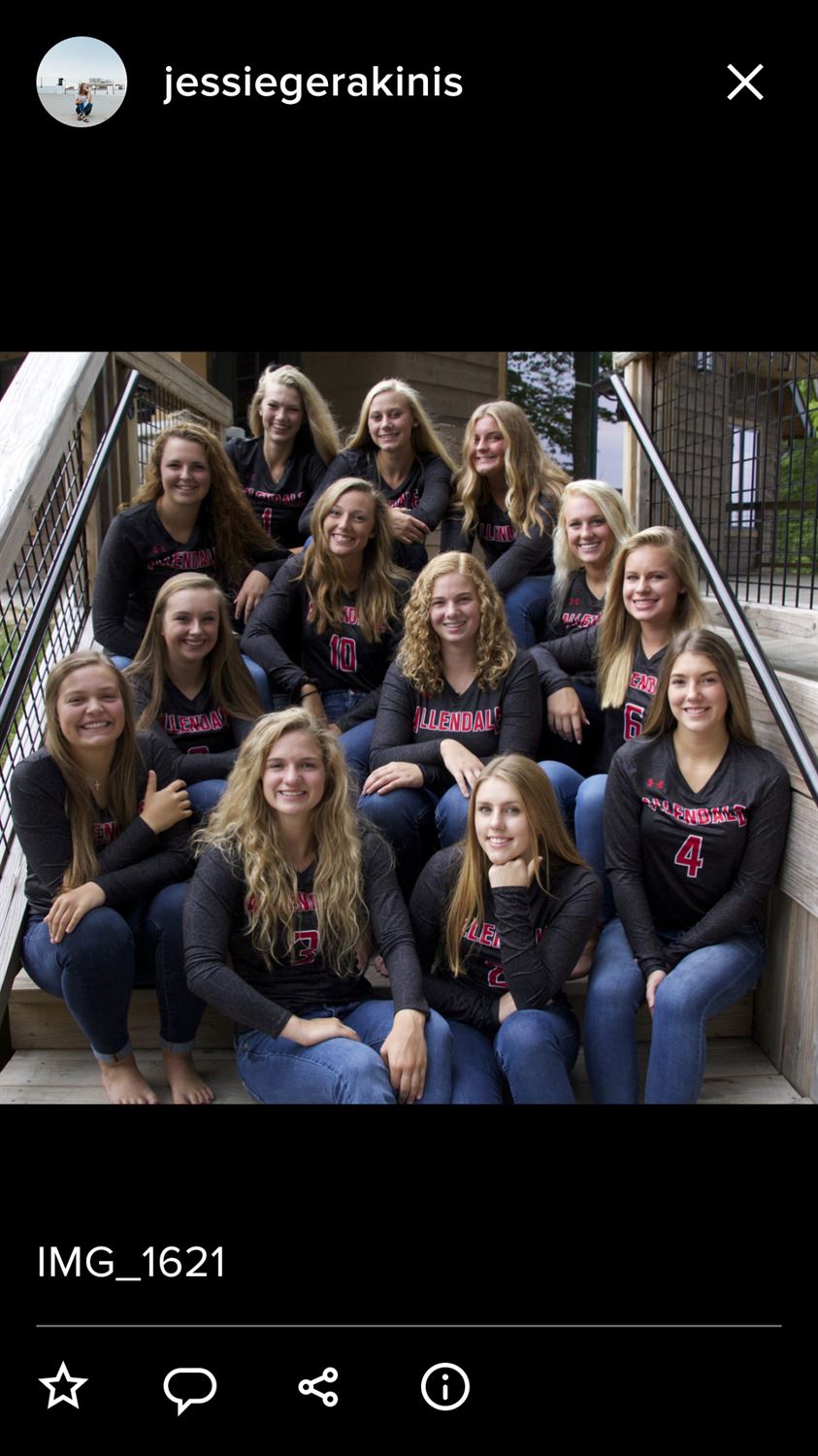 Girls' Varsity Volleyball Allendale High School Allendale, Michigan