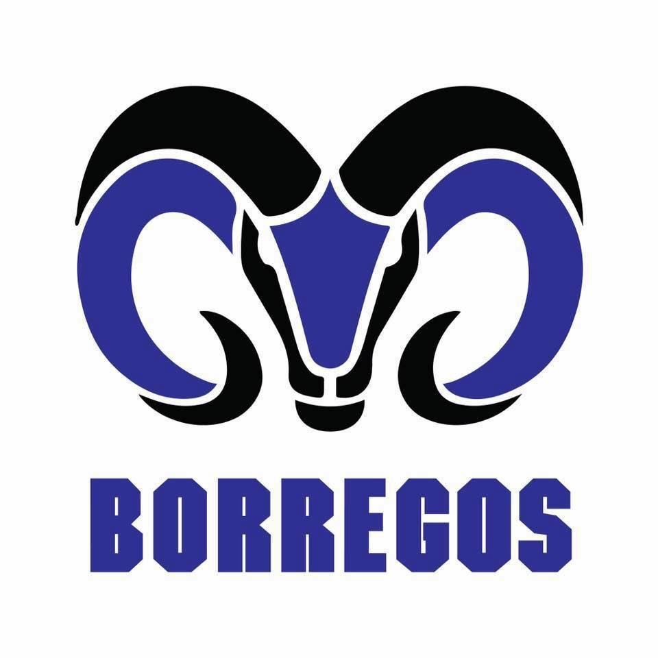 BORREGOS CVA - ITES Instituto Tecnologico Y De Estudios Superiores de