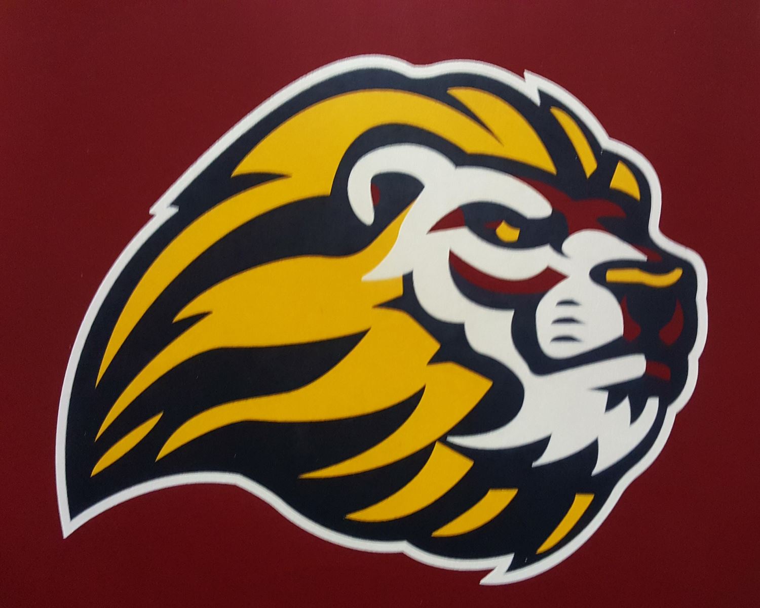 Boys Varsity Football Liberty High School Brentwood California 